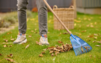 Spring is the best time for removing unwanted junk from your home